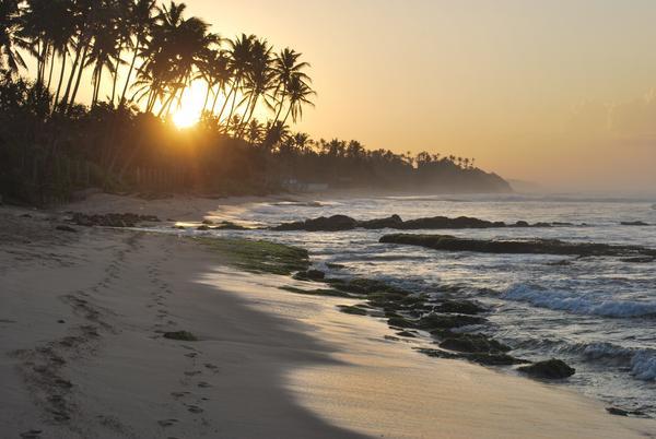 Sommertarif in den Barberyn Resorts/Sri Lanka