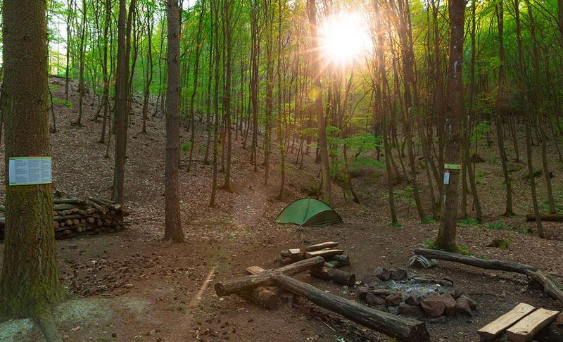 Das Abenteuer wartet - Erfahrungen mit Trekking Pfalz