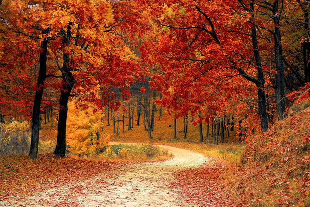 Indian Summer