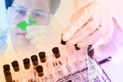 Seltene Erkrankungen nehmen weiter zu