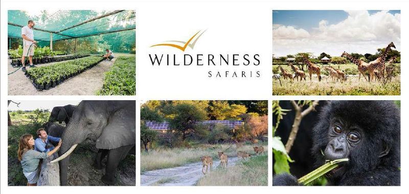 Wilderness Safaris vereint Luxus mit einem guten Zweck