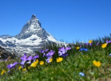 Fünf Gründe für eine Reise in die Schweiz