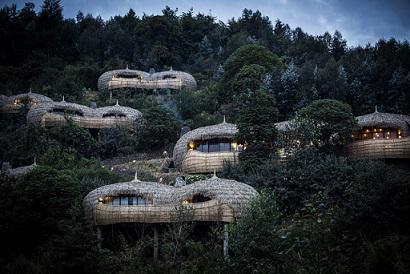 Die Top 5 der stylischsten Baumhaus-Villen Luxus-Unterkünfte von Wilderness Safaris