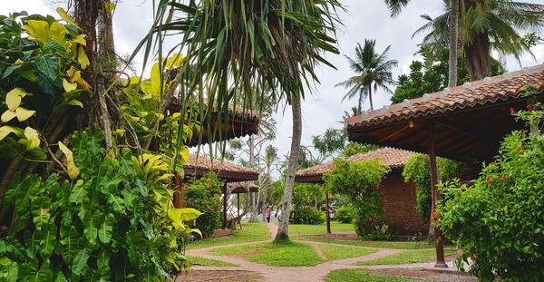 Neu auf Sri Lanka: Barberyn Sands Ayurveda Resort