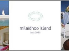 Rundum-sorglos-Paket für die Traumhochzeit im Paradies