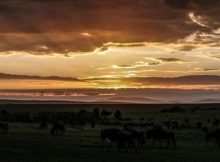 Sunrise über der Steppe Kenias