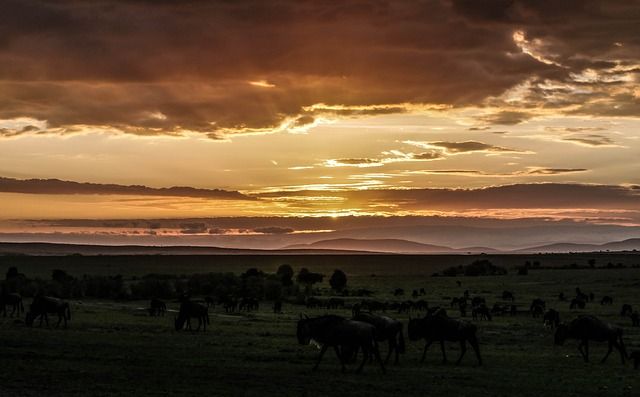 Sunrise über der Steppe Kenias