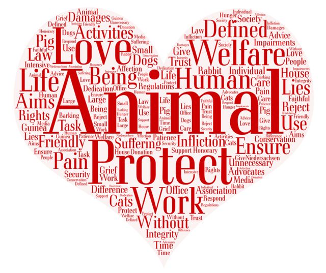 Tiere brauchen unseren Schutz