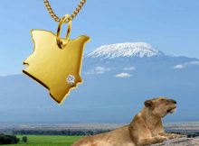 Landkartenschmuck aller geographischen Umrisse weltweit