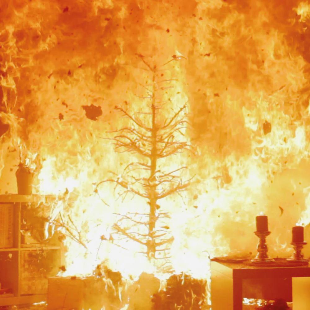 Wenn ein trockener Tannenbaum in Brand gerät, breiten sich die Flammen rasend schnell aus