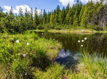 Am Gerzkopf in Eben befindet sich das gleichnamige Europa- und Naturschutzgebiet mit Moorsee