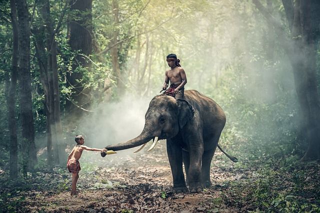 Exotik, Kultur und Natur - ein Land so vielfältig wie die halbe Welt