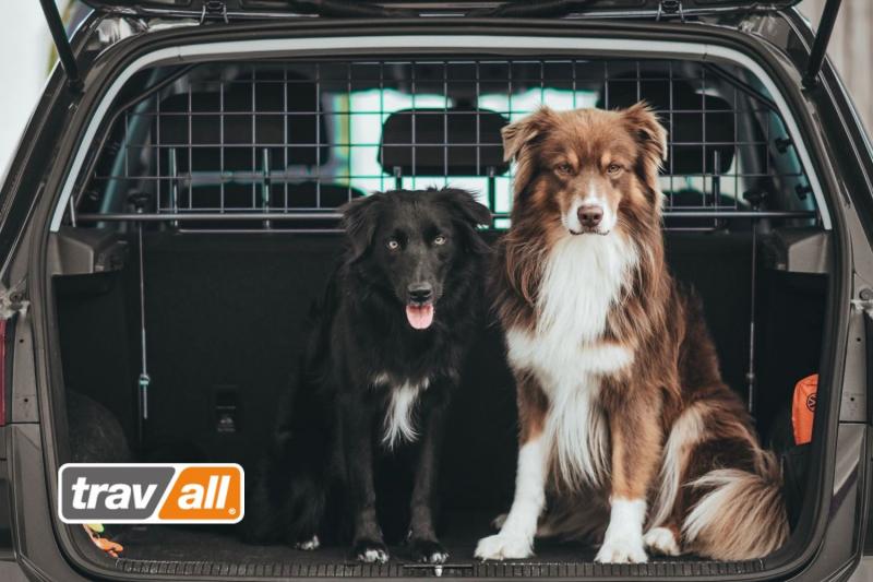 Mit einem Trenngitter sind Hunde auch im Elektroauto optimal gesichert.
