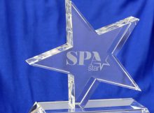 Verliehen wird diese Auszeichnung in sieben Kategorien