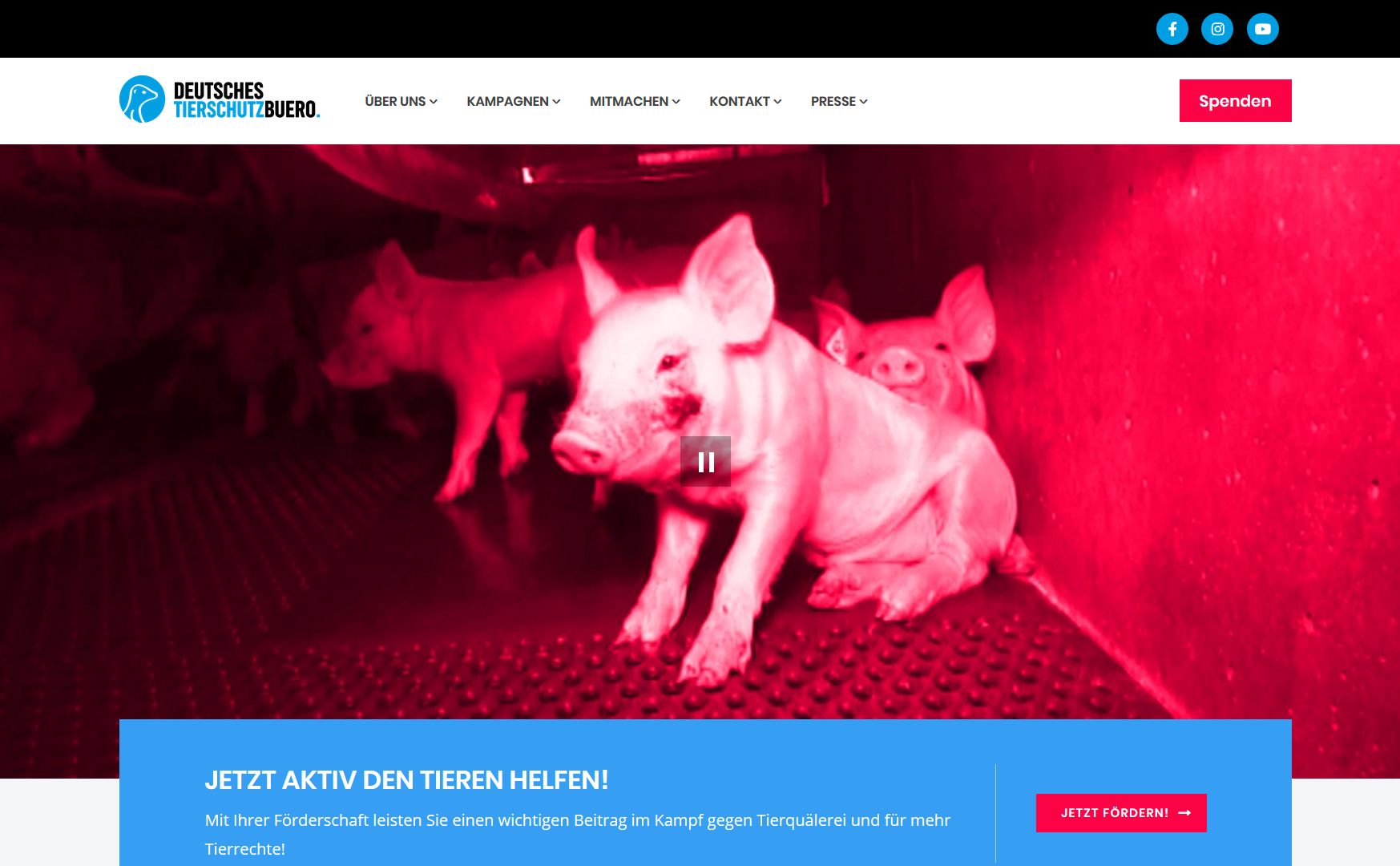 Screenshot Website Tierschutzbüro 