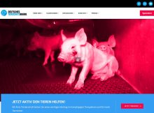 Screenshot Website Tierschutzbüro