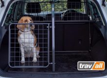 Hunde können durch eine Gitterkombination effektiv gesichert werden. © Travall
