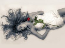 Schönheit und Rosen - das gehört einfach zusammen