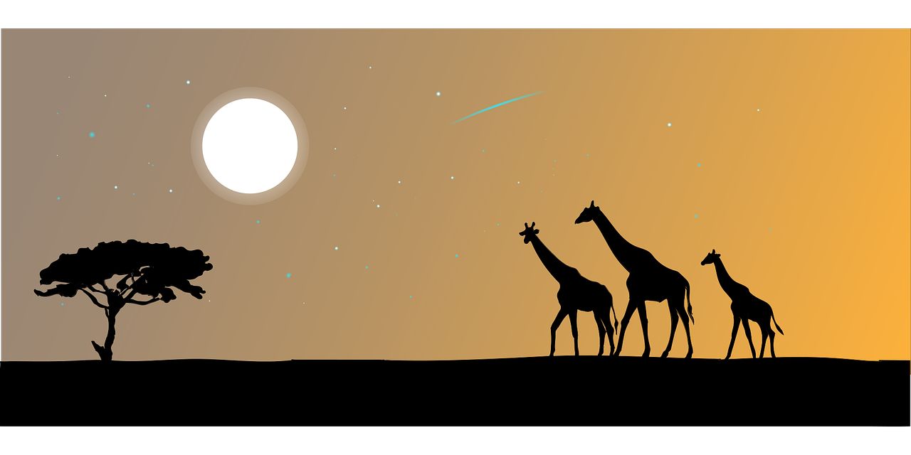 Afrika von seiner schönsten Seite