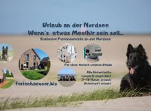 Urlaub mit Hund im Nationalpark Wattenmeer