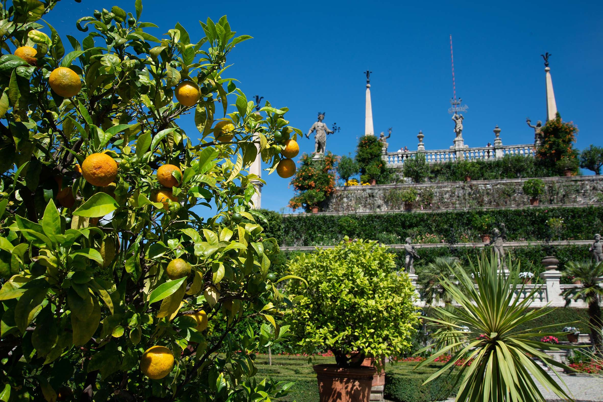 Gärten Borromeo - Lago Maggiore