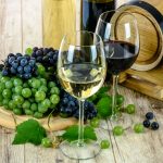 Alles, was man über Pecorino-Wein wissen muss