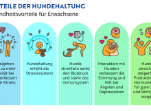 Gründe für einen Hund