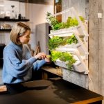 Mega-Idee Indoor-Garten: smart, platzsparend und pflegeleicht