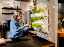 Indoor-Garten: smart, platzsparend und pflegeleicht