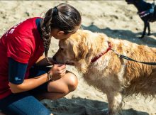 Bi Holiday Bauwatch_Exercises