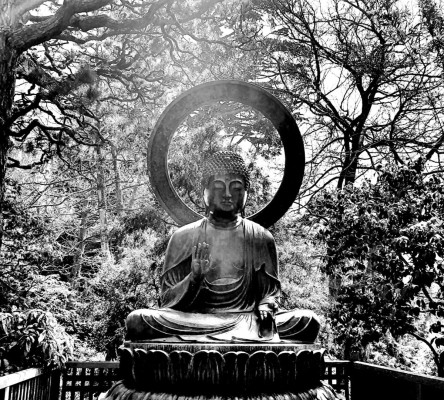 Buddha im Wald