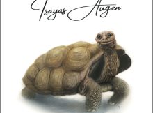 Buchcover mit der Schildkröte Isaya