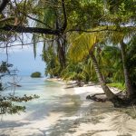 Günstig ins Paradies: Urlaubs-Spartipps für den Geldbeutel