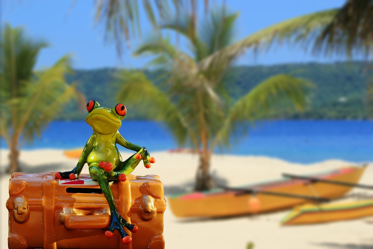 Frosch auf dem Koffer am Strand