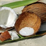 Alles über Kokosöl, diesen wertvollen Schatz aus der Natur