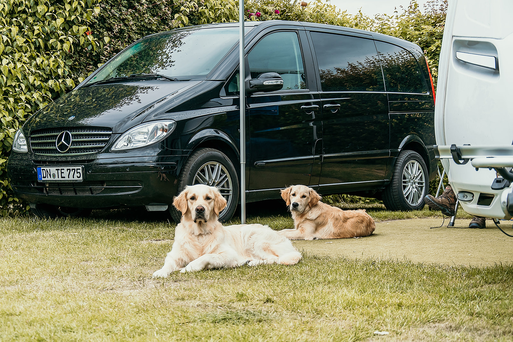 Strandpark De Zeeuwse Kust2 (Niederlande)