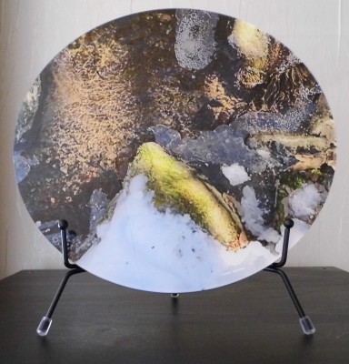 Denkpause! Entdecke Welten und Wesen!Denkpause! Entdecke Welten und Wesen!