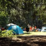 Wertvolle Sommertipps: Wo kann man umweltfreundlich Campen?