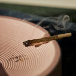 Kifferparadies Sachsen-Anhalt: Verstöße gegen Cannabis-Gesetz nicht sanktionierbar
