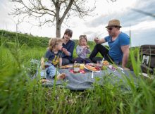 Familie auf der Wiese beim Picknick