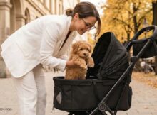 Moon Dog: Der Hundebuggy von Moon