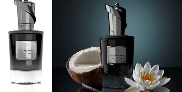 Mind Games - Playmate