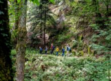 Eine Familienwanderung auf dem Gernsbacher Sagenweg