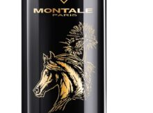Montale Arabians Tonka