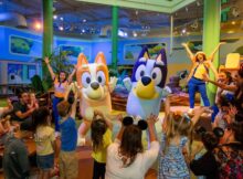 Blueys Wild World at Conservation Station