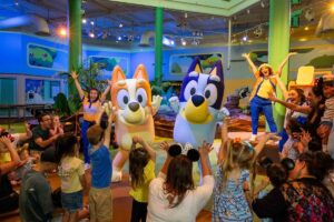 Blueys Wild World at Conservation Station
