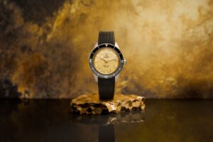 Rado Captain Cook Automatic mit schimmerndem Goldfinish
