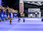 Highlight Dackelrennen in München