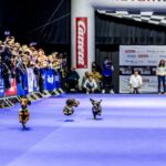 Highlight Dackelrennen in München