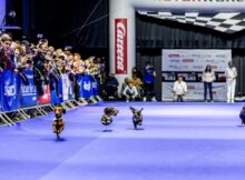 Highlight Dackelrennen in München